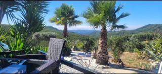 Ola Bella Vista - Figueiró dos Vinhos - 8