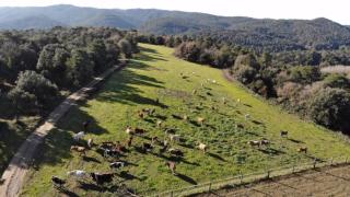 Brugarolas Village - Castelltersol - 9