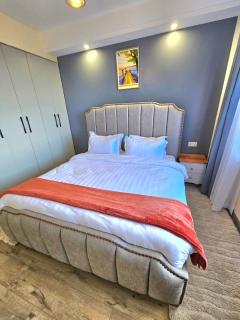 Beautifully and Elegantly furnished two bedroom with heated swimming pool fully equipped gym ample parking and children playing ground and a relaxing rooftop with an amazing scenic city views - Nairobi - 7