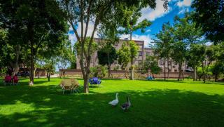Panone Hotels - King'ori Kilimanjaro Airport - 3