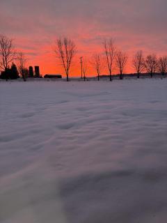 Stone Willow Inn - 1