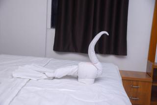 Hotel Pooja Inn Pandharpur - 1