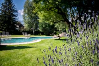 Hotel ANDER - Brunico - 5