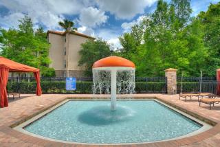 Gentle Breeze 3BDM Sleeps 8 Disney - 5
