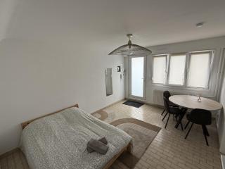 Appartement proche Strasbourg Centre 7 min gare - Strasburgo - 9