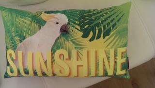 Seepark Falk Wohnungen - 8