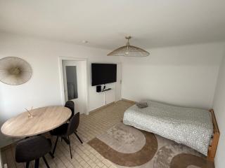 Appartement proche Strasbourg Centre 7 min gare - Strasburgo - 7