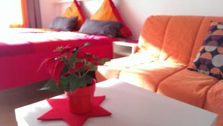 Seepark Falk Wohnung Nr -3- - Fribourg-en-Brisgau - 3