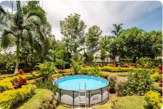 Cattleya tropical - Quimbaya - 1