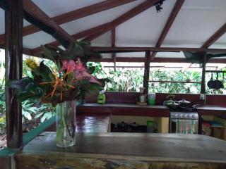 Finca Sombrero y Camisas - 2