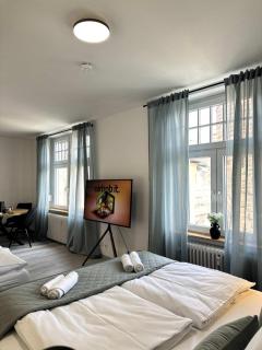 AMAO Mantis - Design Apartment - City Center - King-Size Bed - Parking - Storchenturm - 8