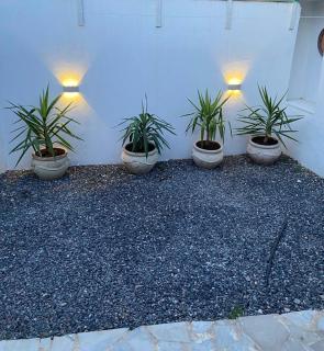 Quiet and cozy - La Marsa - 4