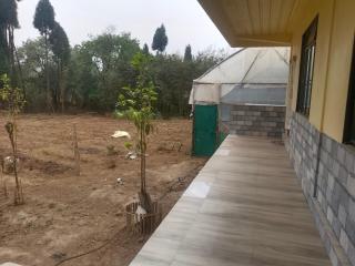 Banri Homestay - Shillong - 1