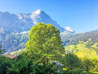 Apartment Chalet Hobelbank by Interhome - Grindelwald - 6