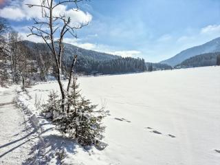 Holiday Home Tiny Haus Glockenalm-Hopfen Hütte by Interhome - 5