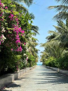 Sunshine Beach Da Nang - 1