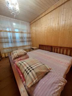 House in bakhmaro - Bakhmaro - 0