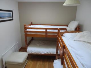 Hungry Hill Lodge - Adrigole - 3