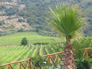 Antica Tindari - Patti - 1