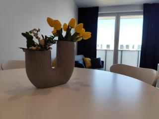 Apartament dwupokojowy KASZMIR przy Onkologii - Bydgoszcz - 7