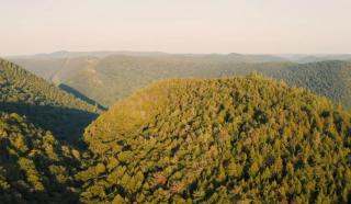 2 Bedroom Mountain Cabin in the Berkshires, Hike, Flyfish, Zipline and more - 7