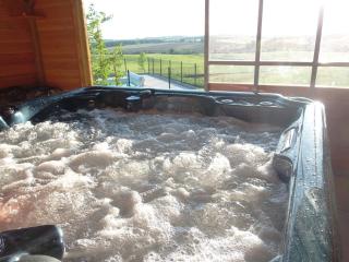 Roulotte & Accès SPA Privatif - Pauilhac - 2