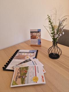 Stadt & See - neuwertige Ferienwohnung - Lindau - 6