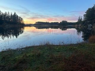 Vestre Karmøyveg 845 - - 4