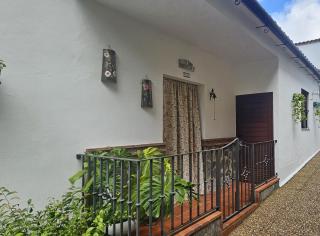 La Casa del Árbol - El Bosque - 2