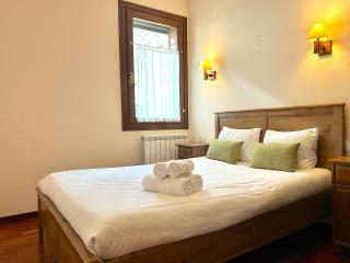 Apartament amb una terrassa única by RURAL D'ANEU - Esterri d'Àneu - 1