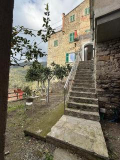 The Orange Garden - Corniglia - 8