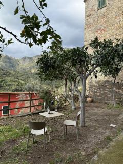 The Orange Garden - 4