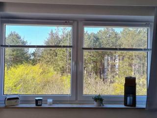 Deichtraum Comfortable holiday residence - Sankt Peter-Ording - 1