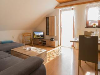 Schmitz 2 Comfortable holiday residence - Weiskirchen - 8