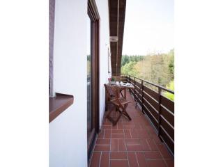 Schmitz 2 Comfortable holiday residence - Weiskirchen - 1