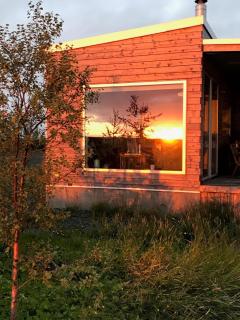 Lerkiholt, Horse Farm 58702 - Hella - 1