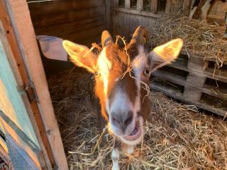 Ruhige Ferienwohnung am Roggenkamp - 3
