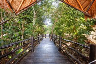 Casa Acalan - Puerto Morelos - 5
