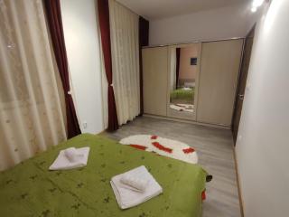 Confort Apartment - Arad - 8