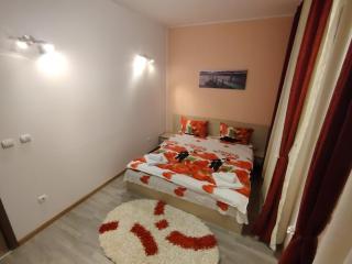Confort Apartment - Arad - 5