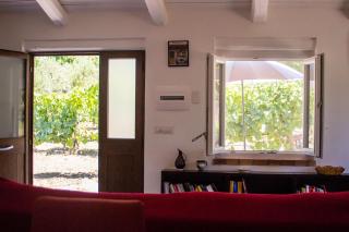 La Casina Nel Frutteto - Castelnuovo Cilento - 6