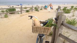 Ship Bottom Studio Perfect Hideaway - 3