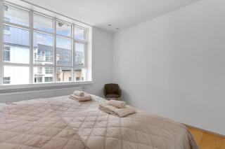 Luxury Apartment in Reykjavik - 2
