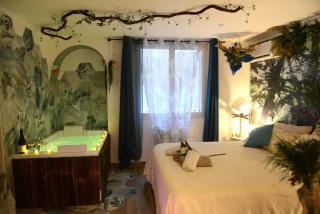 Jungle Spa - Cocon tropical et dépaysant avec balnéo en plein coeur de Pézenas ! - Pézenas - 8