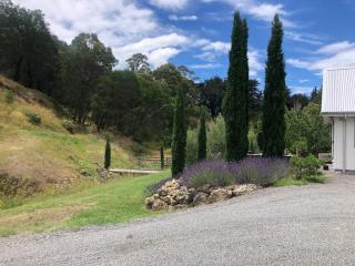 Orchard Cottage - Napier - 2