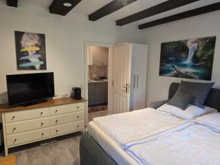 Ahauser Ferien- und Business-Appartement 29qm - 6