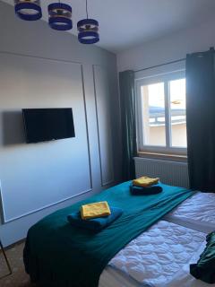 Queen Bee Apartments Krakow Old Town - Cracovia - 6