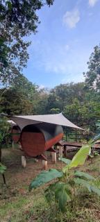 Glamping in jungle - Corcovado Nature Wonders - amazing views - available scooter - Puerto Jiménez - 3