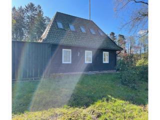 Moderne Wohnung mit Terrasse - Schneverdingen - 4