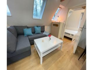 Renovated holiday home for ten people - Schneverdingen - 2
